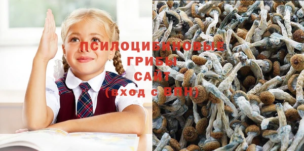 дурь Рославль