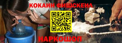 дмт Кингисепп