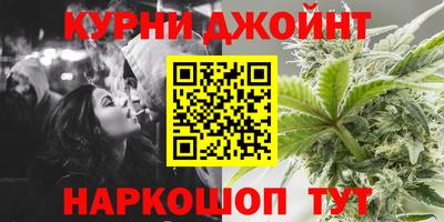 дмт Кингисепп