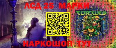 дмт Кингисепп