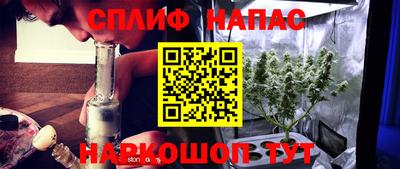 СК Кинель