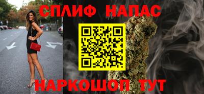 дмт Кингисепп