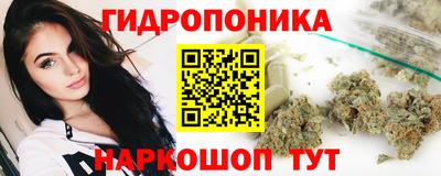 дмт Кингисепп