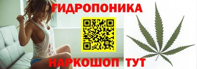 ALPHA PVP Кимры