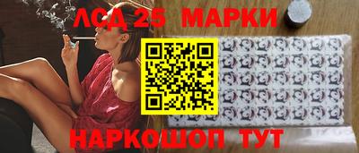 дмт Кингисепп