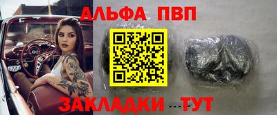 дмт Кингисепп