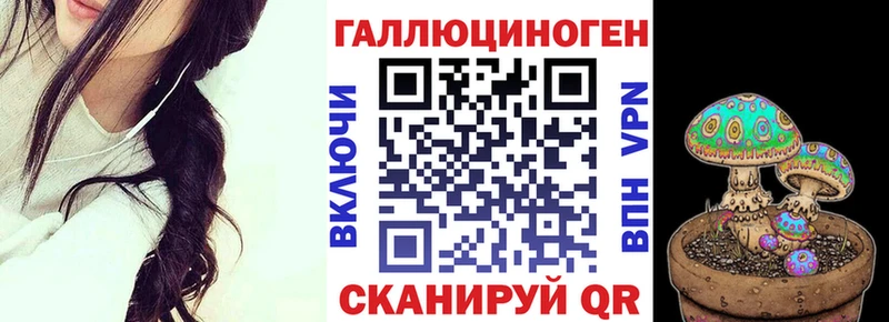 Галлюциногенные грибы GOLDEN TEACHER  Новороссийск 