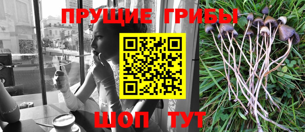 Псилоцибиновые грибы Magic Shrooms  Вход с VPN  Новороссийск 