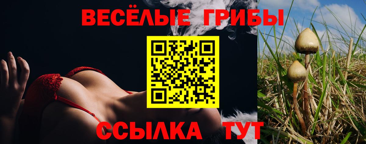 Галлюциногенные грибы прущие грибы Новороссийск