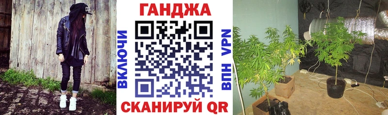 Шишки марихуана Bruce Banner  наркошоп  Новороссийск 